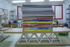 Estructura cargada con libros