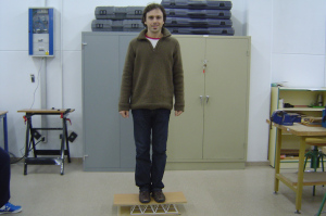Estructura cargada con el profesor