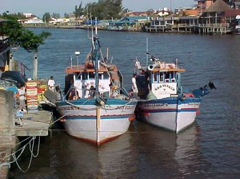 Barcos